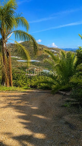 Foto f145434c-93b6-4a82-be96-f1d91e2a375f. Finca rústica terreno en venta en Ítrabo