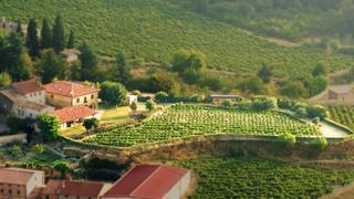 Casa a Villalba de Rioja. Encanto y exclusividad en la rioja preciosa finca con viñedo en