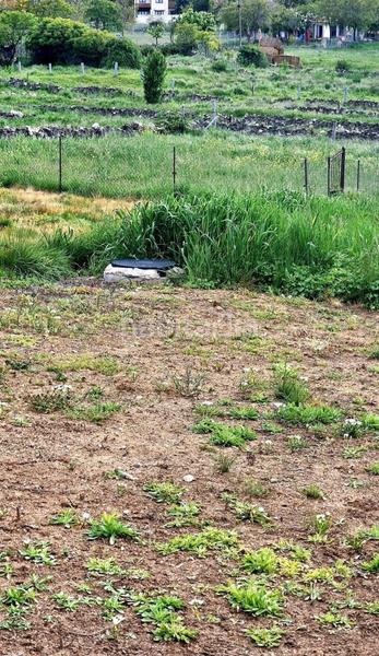 Foto 66642524-80ab-411c-974c-8955ebfc9ffe. Terreny residencial a Vegas de Matute