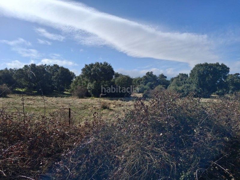 Foto d2376de7-f20b-4436-baec-890af10806d5. Finca rústica a Navas de San Antonio