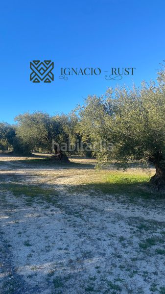Foto 02212f67-6a47-4410-9826-53e04b217612. Finca rústica a Baena