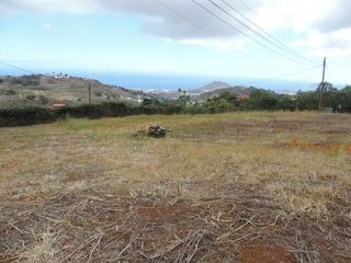Finca rústica en Lugar los altabacales 50. En venta parcela agrícola en los altabacales, arucas.