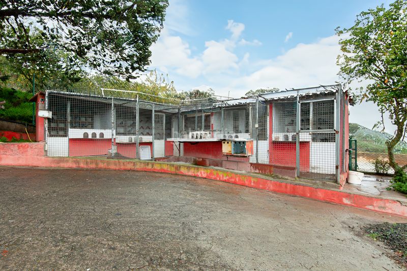 Foto 02d26530-6171-4ebf-bef8-d8921fc37b5d. Casa amb aparcament a San José del Álamo - El Hornillo Teror