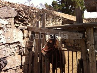 Foto 7fefe873-fcdf-4d62-97e9-7e7e57f239e5. Masia a camino cruz del gamonal 170 a San José de las Vegas - La Atalaya Santa Brígida