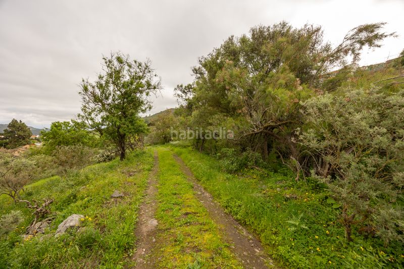 Foto e97da3fb-bacd-4a68-995b-597c85382dcc. Masia a camino cruz del gamonal 170 a San José de las Vegas - La Atalaya Santa Brígida