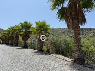 Casa a Cómpeta. Casa rustica con terreno