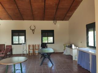 Finca rústica a Guillena pueblo. Terreno rústico a la venta en guillena