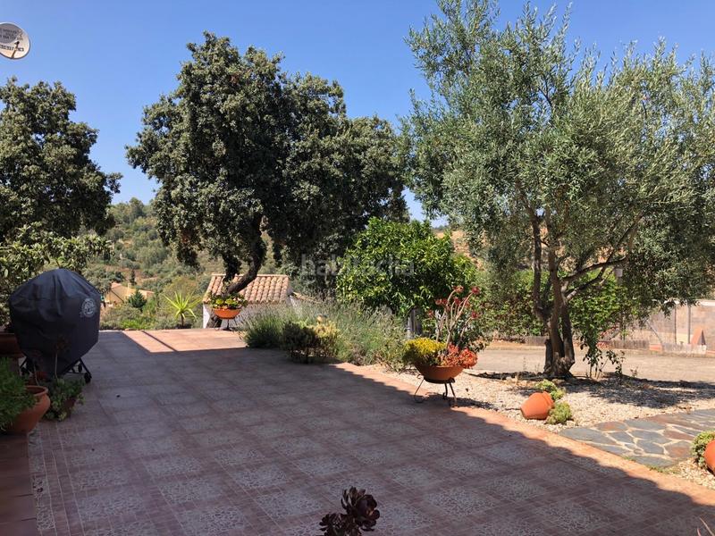 Foto 4f4f9e4b-8aaa-4adf-beba-6ec263cbca38. Casa amb piscina a Guillena pueblo Guillena