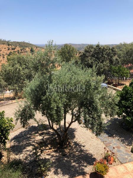 Foto 71a5bcdb-5bd2-44d6-bada-1af0bbcb3281. Casa amb piscina a Guillena pueblo Guillena