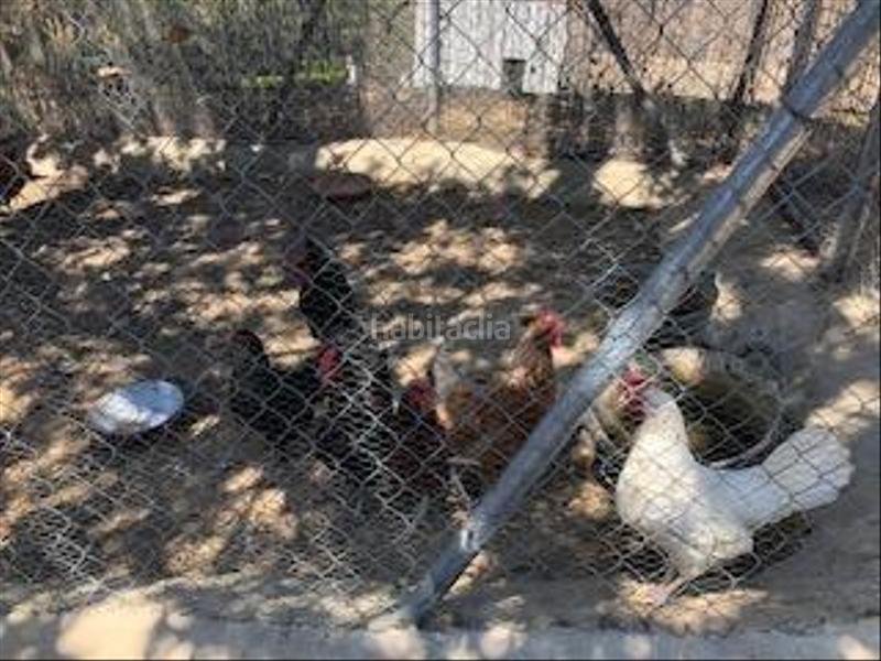 Foto c670320f-3867-42b3-9608-7525cd5c0703. Casa amb piscina a Guillena pueblo Guillena