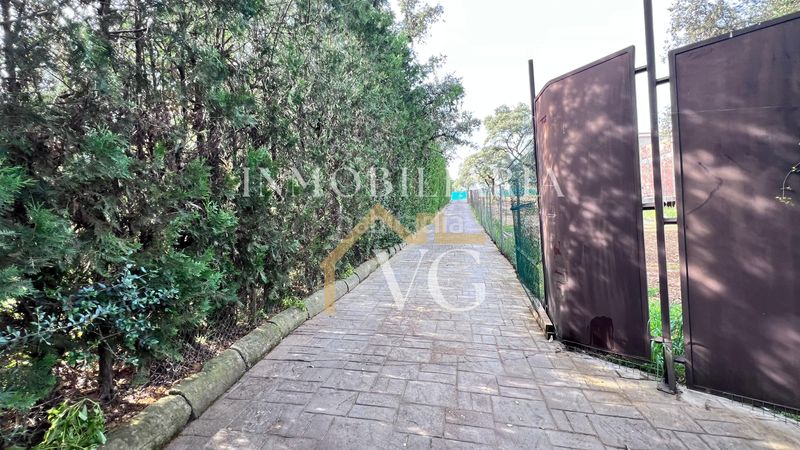 Foto 599feb47-0710-438a-a861-9d7ce6e5320a. Pis a Las Pajanosas Guillena