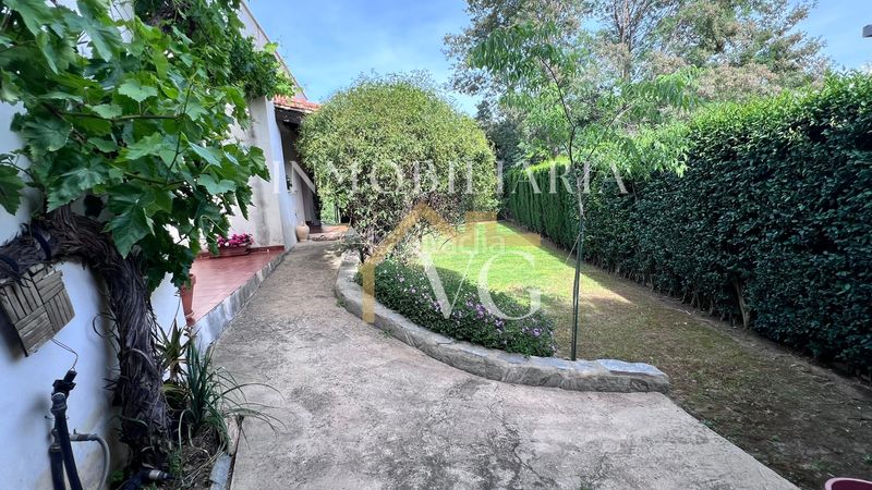 Foto 668d8b5e-440e-4242-98f8-6e731101759b. Pis a Las Pajanosas Guillena