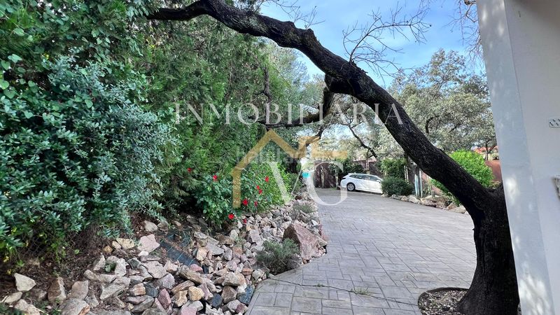 Foto 68ede3df-2aa9-42ac-8cf3-b769a50ee864. Pis a Las Pajanosas Guillena