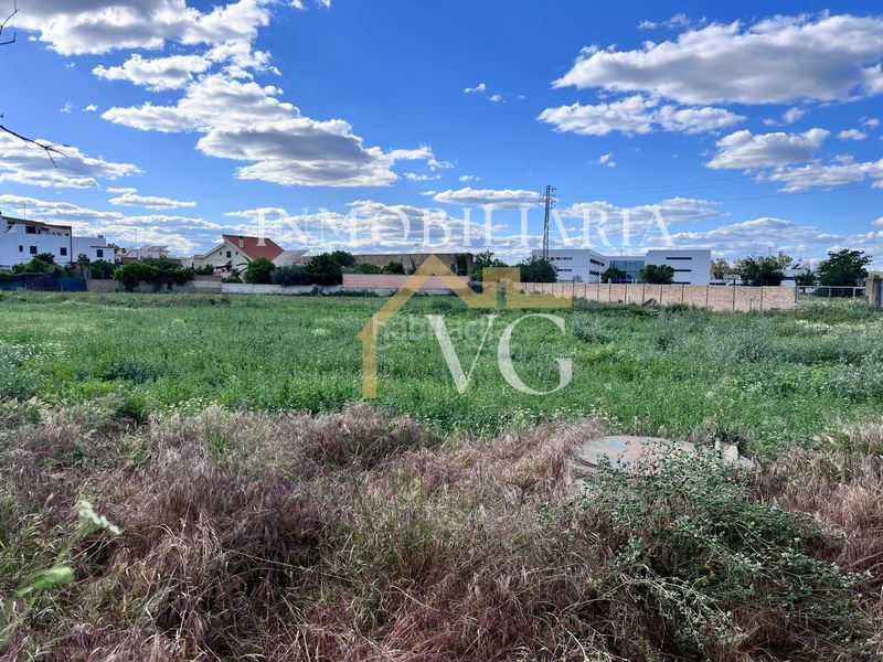 Foto 7ba5d805-9941-4fd8-8109-d28e9571755f. Finca rústica a Guillena pueblo Guillena