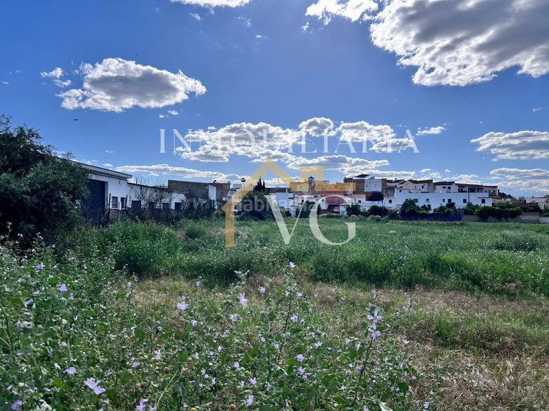 Foto a32957a6-2903-4381-943f-f11c2173fc9e. Finca rústica a Guillena pueblo Guillena