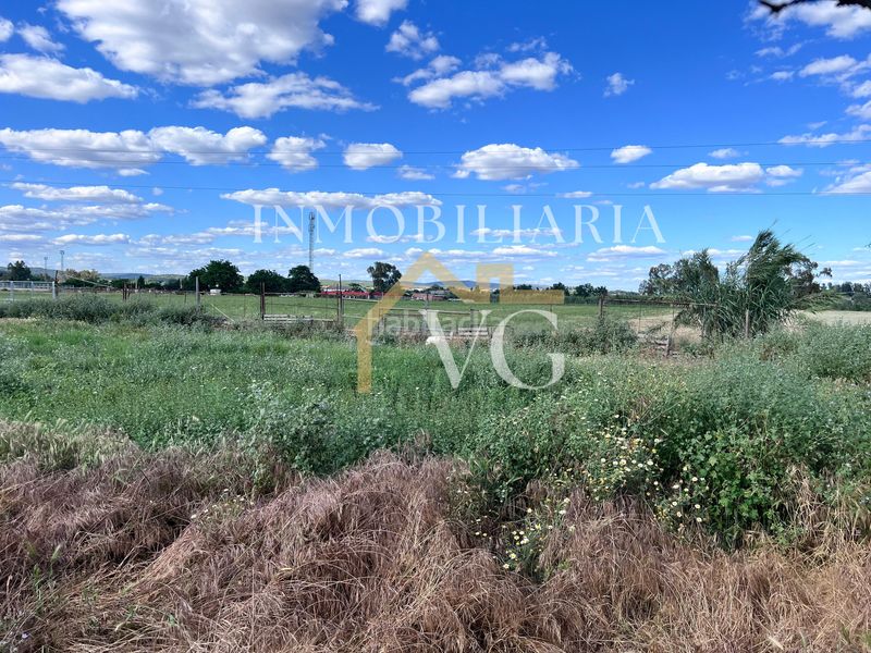 Foto ab361a5c-6175-41d8-8c4d-bb3c0849570a. Finca rústica a Guillena pueblo Guillena