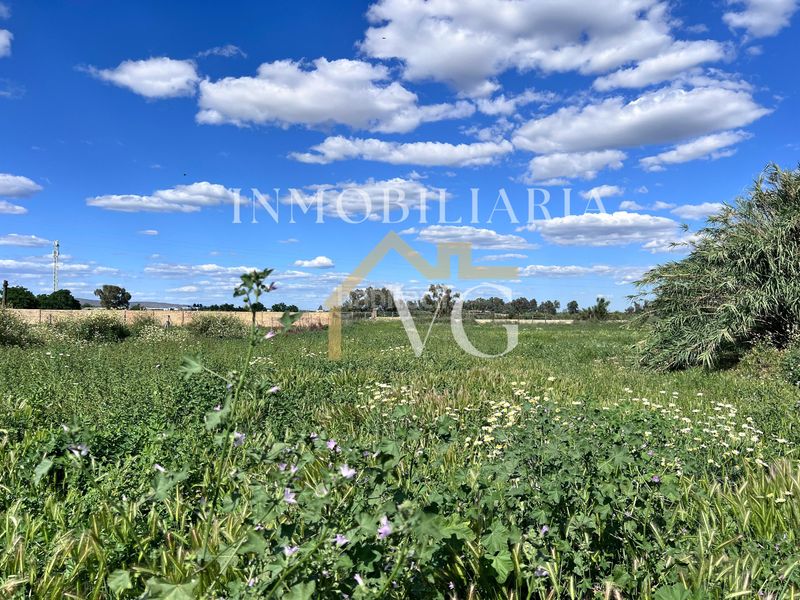 Foto b3f7fafa-4a06-4301-8630-90ff7dafff0e. Finca rústica a Guillena pueblo Guillena
