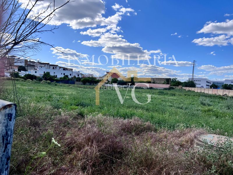 Foto b55fa94f-3d48-4e9d-88b4-a0e75a77d61e. Finca rústica a Guillena pueblo Guillena