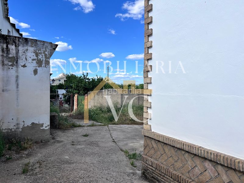 Foto c669eeaf-22a1-4ea8-b62a-45bd8d145fa0. Finca rústica a Guillena pueblo Guillena