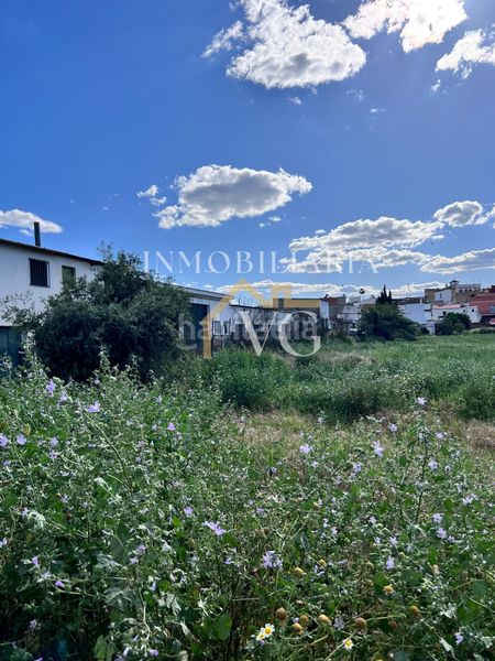 Foto e33cbb10-aafb-4b7d-ae2d-c9f899e98a06. Finca rústica a Guillena pueblo Guillena