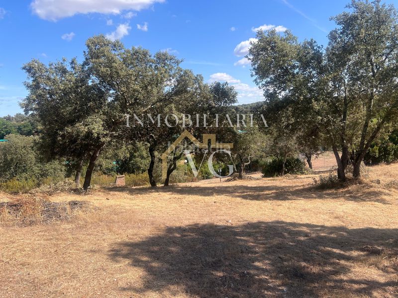 Foto dc9c308c-87a9-4d08-935d-b2bd6b8d69f9. Terreny residencial a Los Lagos Guillena