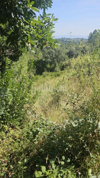 Foto 027f263d-7293-443e-8c30-43e6d4b603f8. Residential plot in cl del llorer 14Massanes (girona) in Massanes