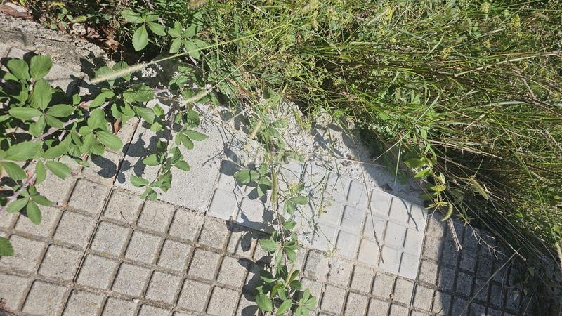 Foto 7c955c43-20c2-44cc-9c40-039228077acf. Residential plot in cl del llorer 14Massanes (girona) in Massanes