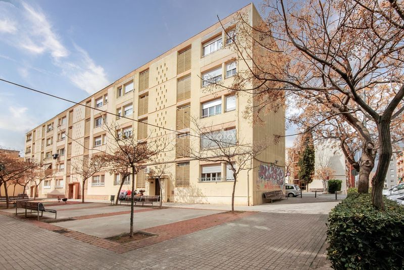 Foto fbb18f7a-8f93-4e1c-b3bd-369953ad8db8. Pis a illa noble a Les Termes Sabadell
