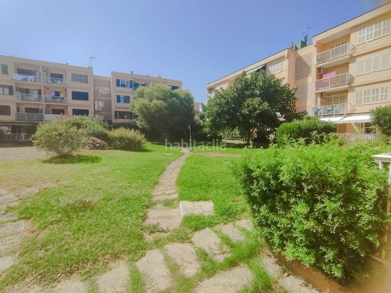 Foto 2800ddae-f1f9-448b-8a44-028681559ad2. Lloguer apartament a Muro