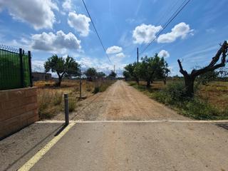 Terrain résidentiel  Polígono polígono 4 parcela 286 ametler. 07141 marratxi (i. Construye tu hogar en un paraíso rural! solar en marratxí son am