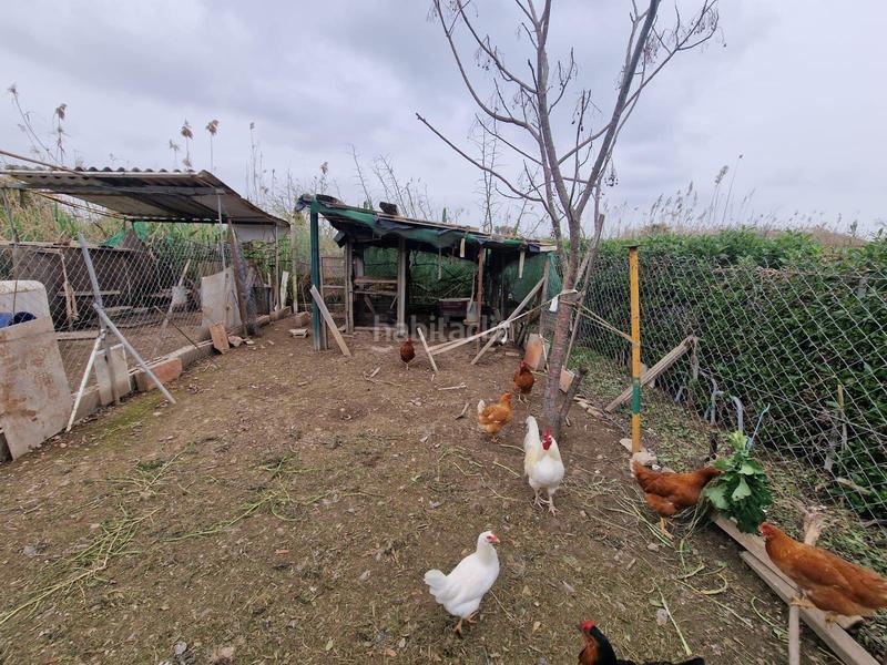 Foto 2f854a23-cfcd-4132-b482-5ae02bae6b70. Miete bauernhof mit parking in Muro