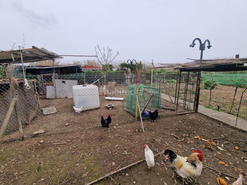 Foto f333851b-9d0b-4974-b9b4-89ecf1755d45. Rent country house with parking in Muro