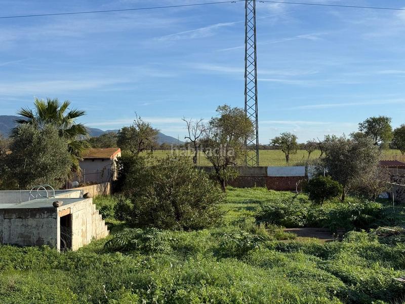 Foto 3175b1bf-500b-4cc9-81be-e6db64bdae86. Terreny residencial a Es Garrovers Marratxí