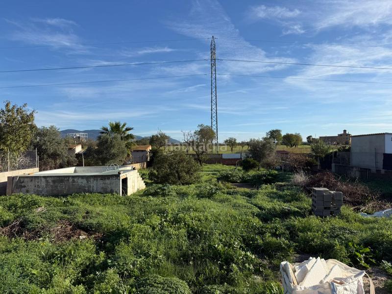 Foto 5733fcc7-4a5b-4ab4-8ba9-e464ea7310cf. Terreny residencial a Es Garrovers Marratxí