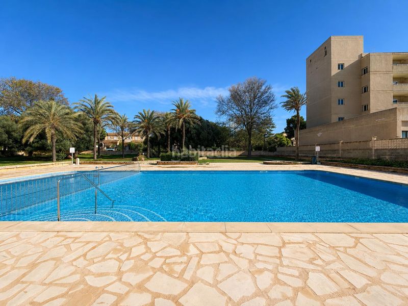 Foto 1eb6df37-409f-4c10-9e5e-001d30a0669e. Estudi amb piscina a Cales de Mallorca Manacor