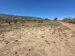 Finca rústica a Abrucena. Se vende parcela  rustica en abrucena  zona campillo