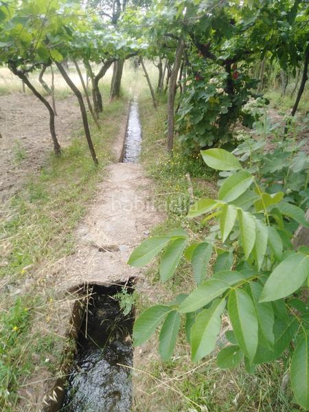 Foto 19f47d87-e49b-403d-ba07-7425608d669d. Masia a Abla