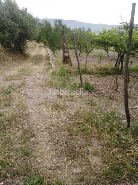 Foto edef9749-a2cb-42fb-9de3-356f27e490c5. Masia a Abla
