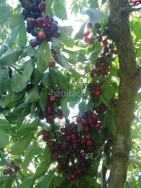 Foto fa5095c9-cffc-4bf6-b8ff-ae0cce83289d. Masia a Abla