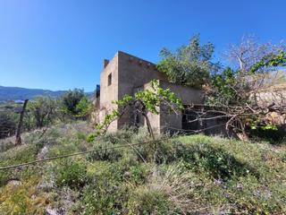 Finca rústica a Abrucena. Se vende terreno con almacen y olivos en abrucena