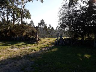 Landgut in Capela (A). Finca de gran extensión en los montes de forgoselo – a capela (a