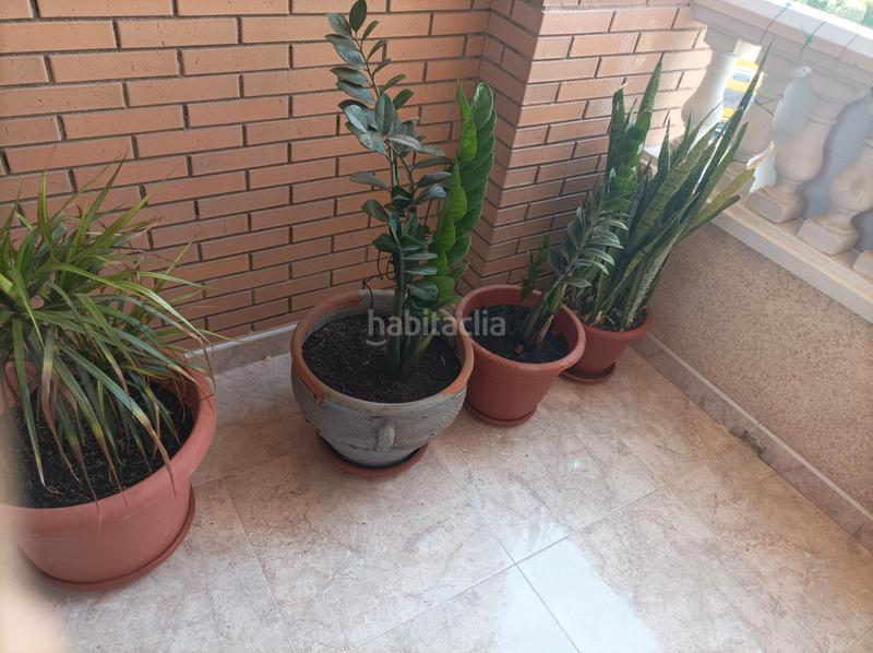 Foto a4c8ee3d-38b5-440e-ae9f-13d60ddf0475. Appartamento con parcheggio in Ejido centro Ejido (El)