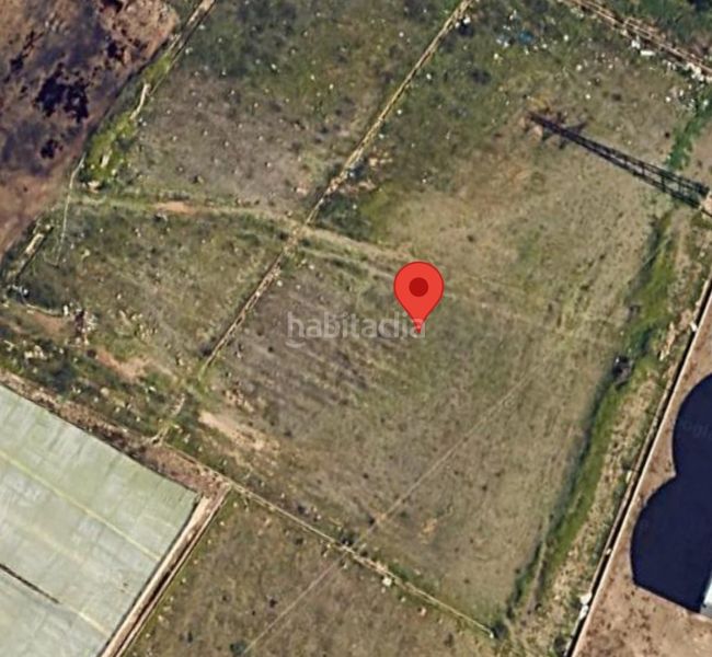 Foto 1e5ff88a-82f3-4529-9262-a6e8adac78d6. Finca rústica a Santa María del Águila Ejido (El)