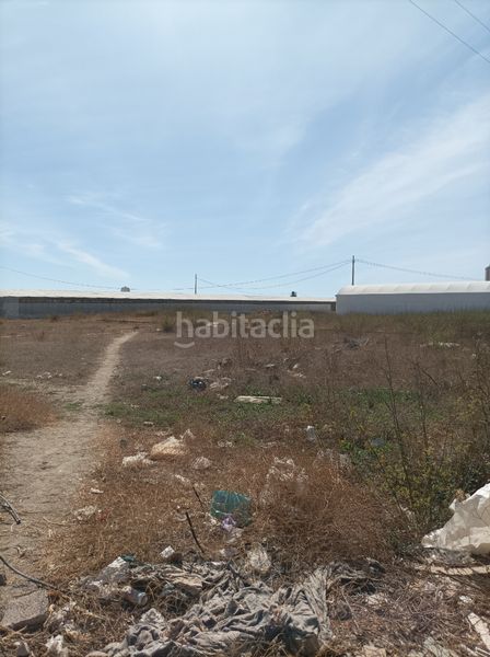 Foto 432b5b96-eed8-4849-aac6-7eac30b28ad5. Finca rústica a Santa María del Águila Ejido (El)