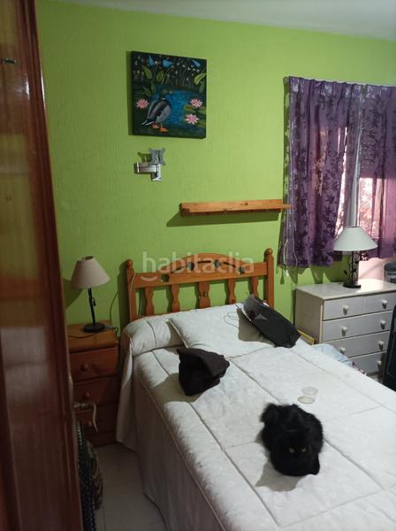 Foto d239f4ad-c548-4db2-85dd-4a43fa0d4341. Flat in Ejido centro Ejido (El)