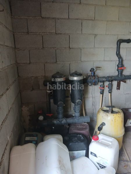 Foto 556a710a-2ae5-4200-bd67-4e734011eb4e. Finca rústica a Matagorda Ejido (El)