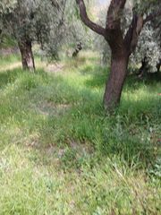 Finca rústica a Fondón