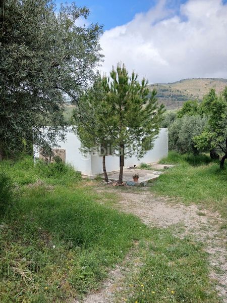 Foto c37cd544-fc66-491d-a045-e3809360ab23. Finca rústica a Fondón