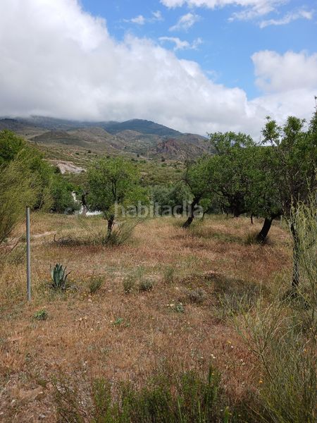 Foto c7d3e8d8-926e-4097-b2a6-2b1aca7537e6. Finca rústica a Fondón