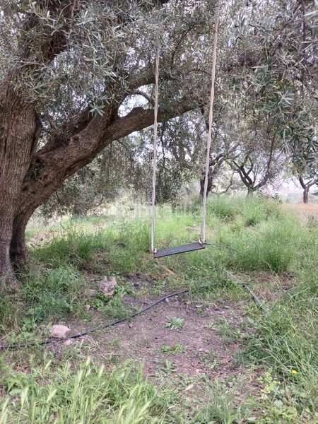 Foto f865b4f4-8abd-41a6-bb14-23a2d57ee67d. Finca rústica a Fondón